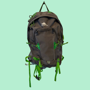 High Sierra Moray H2O backpack.